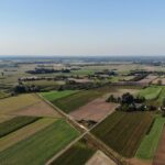 Rozległe pola uprawne w Nadrybiu Ukazowym widziane z lotu ptaka