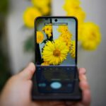 Smartfon fotografujący żółte kwiaty, połączenie technologii i natury